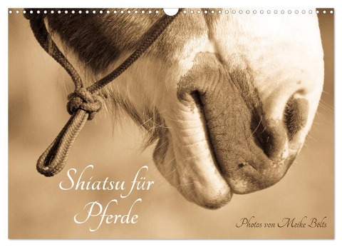 Shiatsu für Pferde - Photos von Meike Bölts (Wandkalender 2024 DIN A3 quer), CALVENDO Monatskalender - Meike Bölts