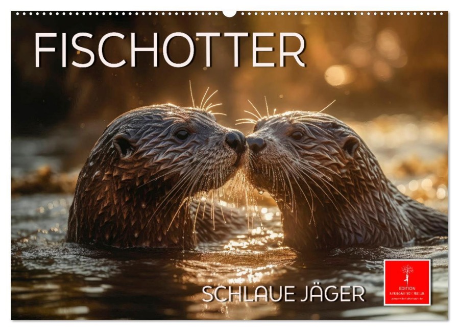 Fischotter - schlaue Jäger (Wandkalender 2026 DIN A2 quer), CALVENDO Monatskalender - Peter Roder