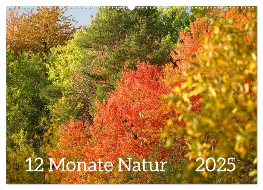 12 Monate Natur (Wandkalender 2025 DIN A2 quer), CALVENDO Monatskalender - Sergej Schmidt