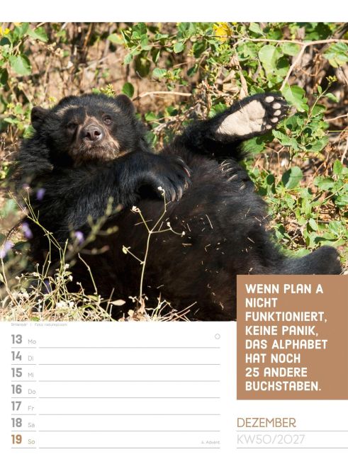 InsideView 54