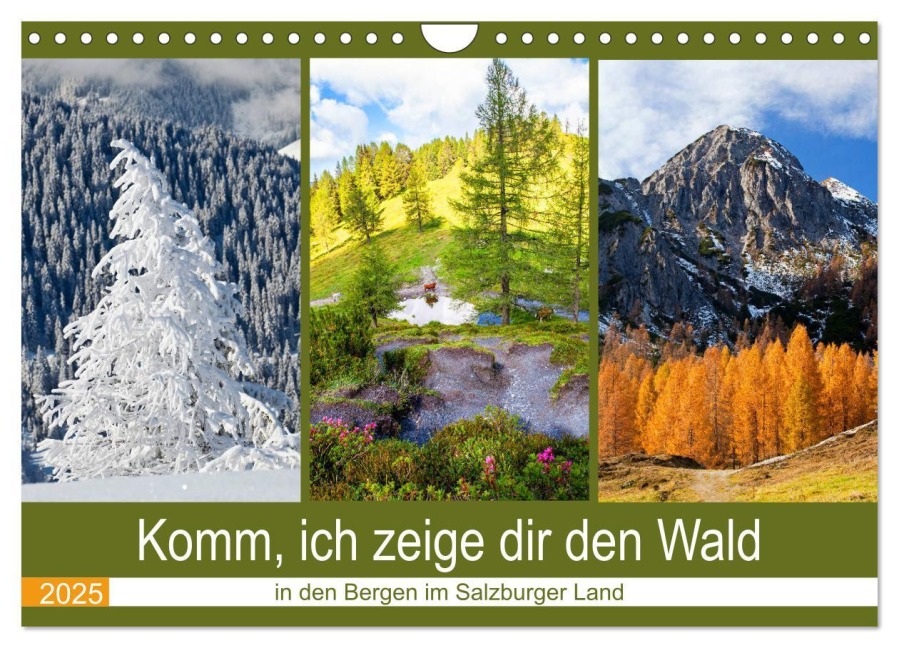 Komm, ich zeige dir den Wald (Wandkalender 2025 DIN A4 quer), CALVENDO Monatskalender - Christa Kramer
