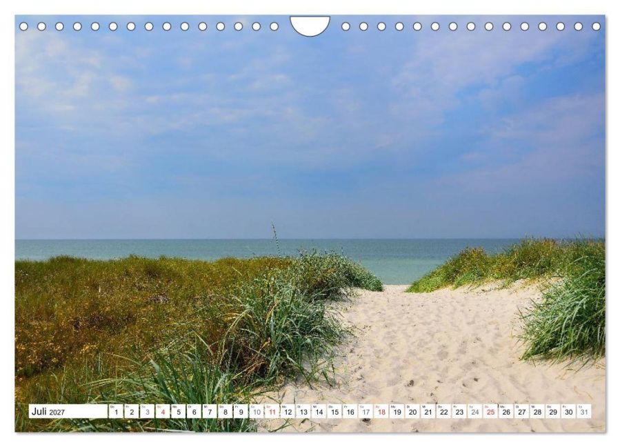 InsideView 12