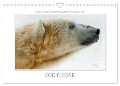 Emotionale Momente: Der Eisbär. / CH-Version (Wandkalender 2025 DIN A4 quer), CALVENDO Monatskalender - Ingo Gerlach GDT