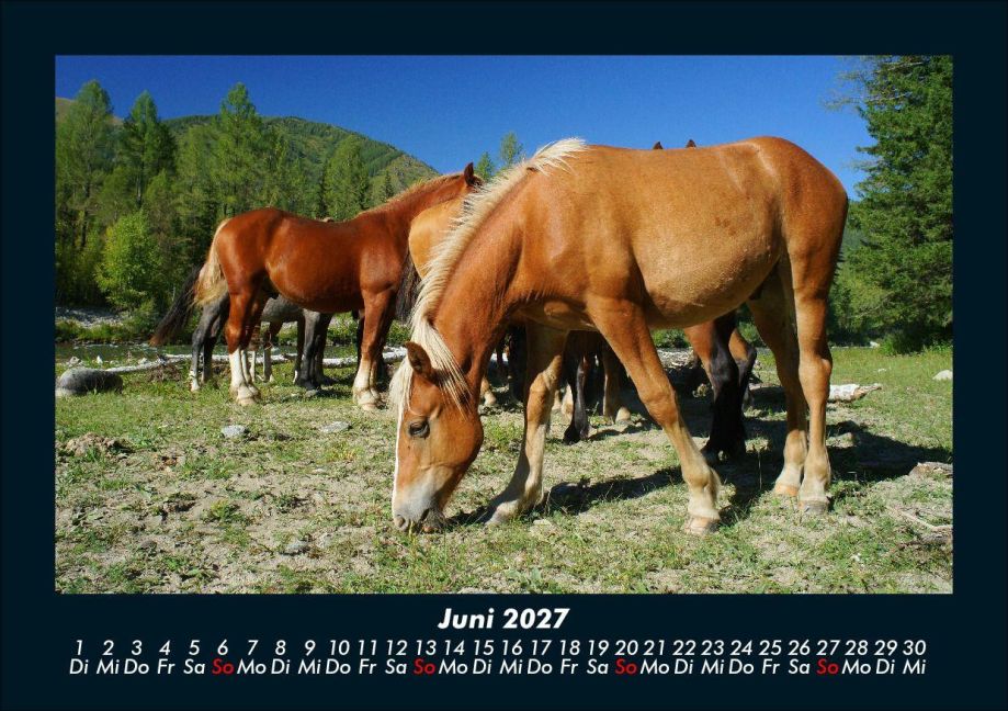 InsideView 10