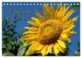 Blütenschau 2024 (Tischkalender 2024 DIN A5 quer), CALVENDO Monatskalender - Monika Lutzenberger