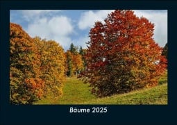 Bäume 2025 Fotokalender DIN A5 - Tobias Becker