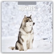 Cover-Bild zum Titel 'Huskies - Husky - Huskys 2027 - 16-Monatskalender' von 'Robin Red'