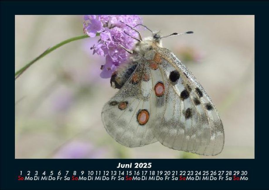 InsideView 10