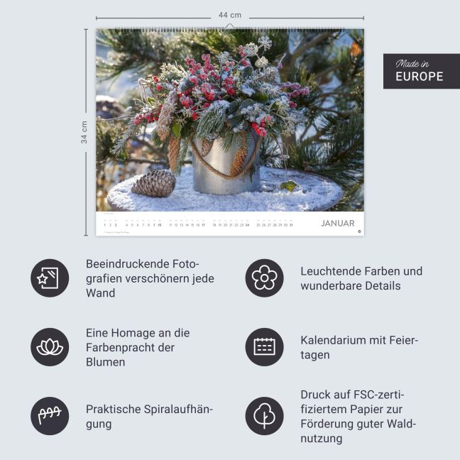 InsideView 13