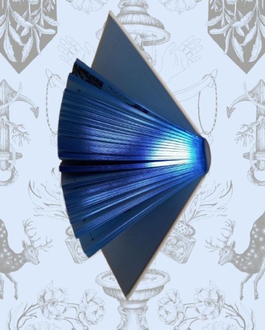 InsideView 12