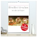 Streifenhörnchen - neugierige Nager (hochwertiger Premium Wandkalender 2025 DIN A2 hoch), Kunstdruck in Hochglanz - Stefan Mosert