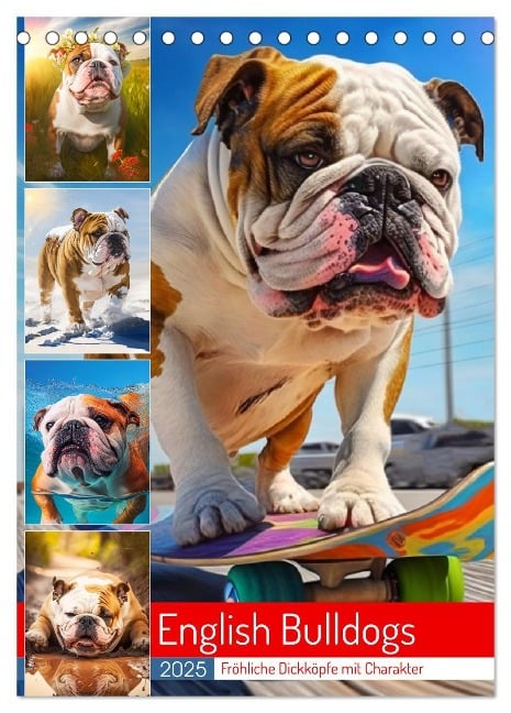 English Bulldogs. Fröhliche Dickköpfe mit Charakter (Tischkalender 2025 DIN A5 hoch), CALVENDO Monatskalender - Rose Hurley