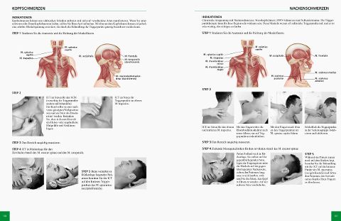 InsideView 6