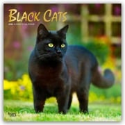 Black Cats - Schwarze Katzen 2026 - 16-Monatskalender - Browntrout Publishers