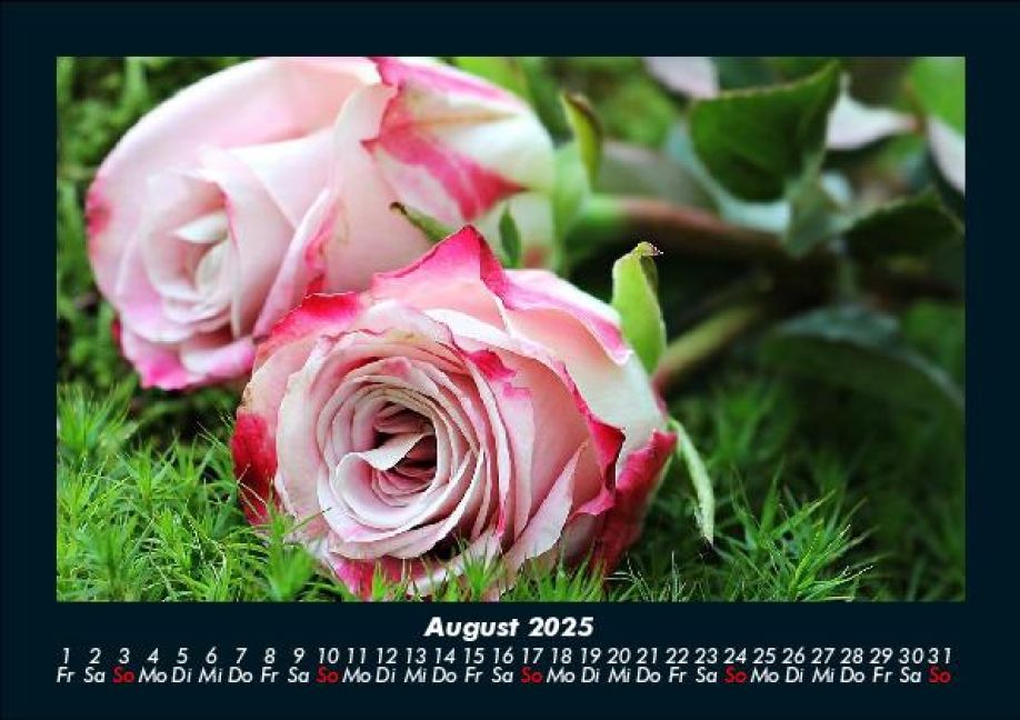 InsideView 12