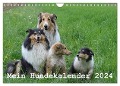 Mein Hundekalender 2024 (Wandkalender 2024 DIN A4 quer), CALVENDO Monatskalender - Heidi Bollich