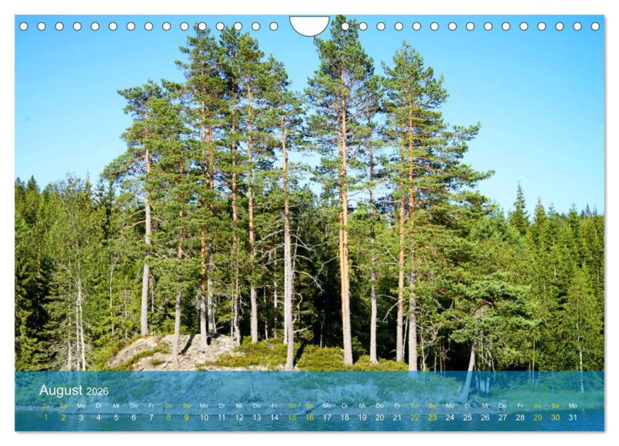 InsideView 13