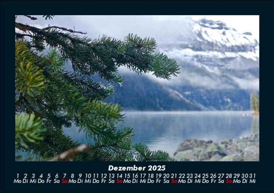 InsideView 4