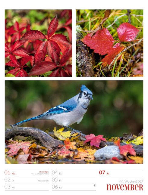 InsideView 48