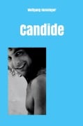 Cover-Bild zum Titel 'Candide' von 'Wolfgang Hunsinger'