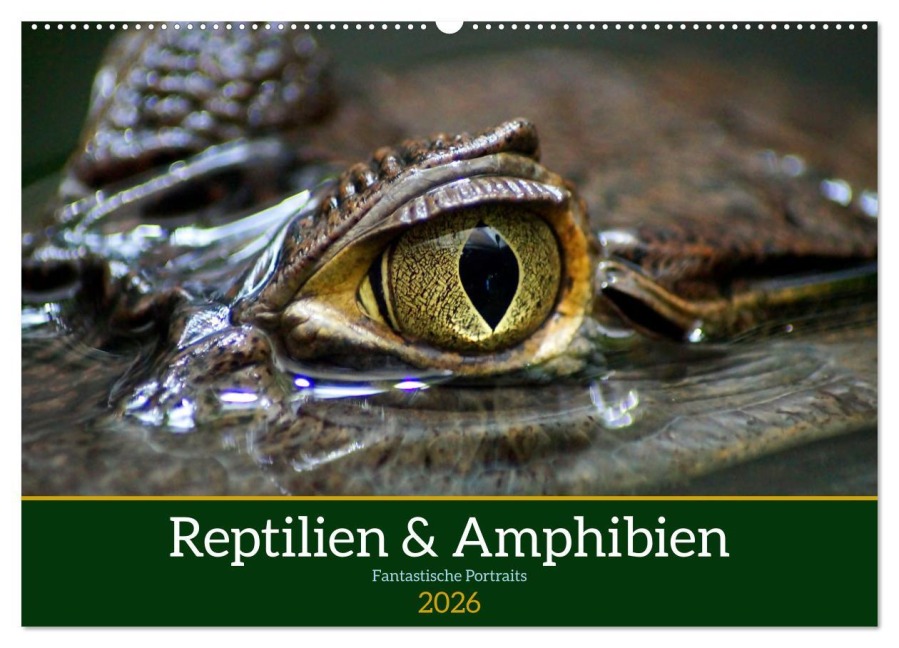 Reptilien & Amphibien Portraits (Wandkalender 2026 DIN A2 quer), CALVENDO Monatskalender - Klaus Vartzbed