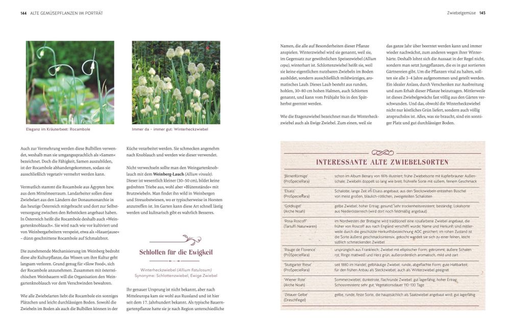 InsideView 6