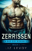 Cover-Bild zum Titel 'Zerrissen 1' von 'Liz Levoy'