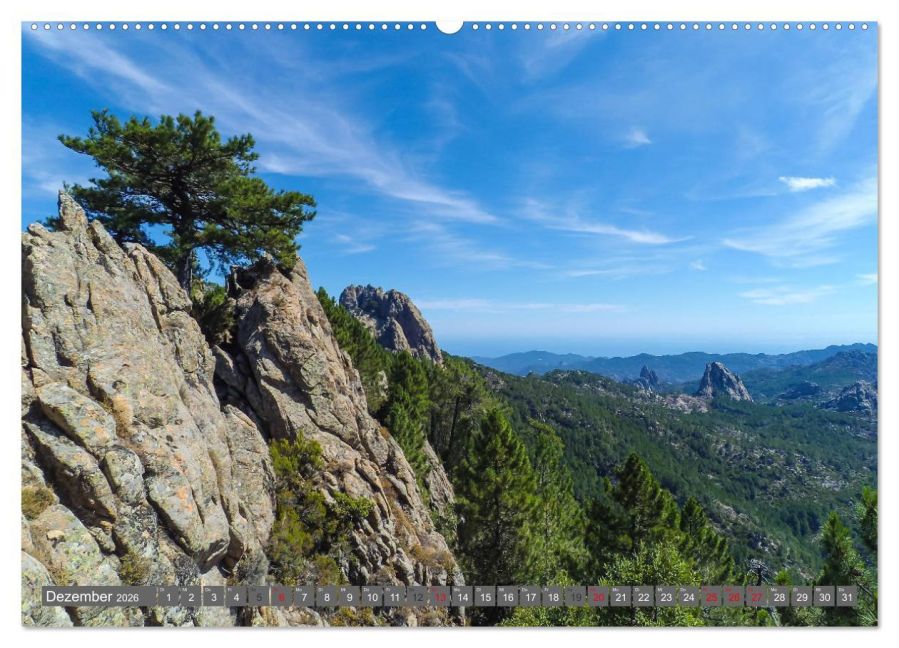 InsideView 4