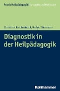 Diagnostik in der Heilpädagogik - Christina Reichenbach, Helge Thiemann