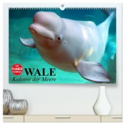 Cover-Bild zum Titel 'Wale. Kolosse der Meere (hochwertiger Premium Wandkalender 2027 DIN A2 quer), Kunstdruck in Hochglanz' von 'Elisabeth Stanzer'
