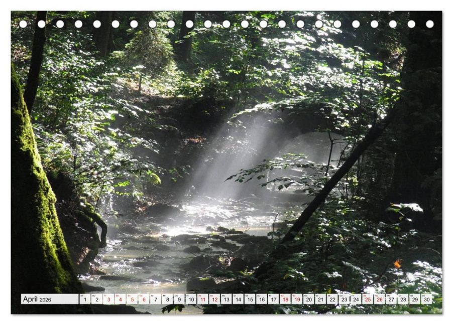 InsideView 9