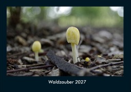 Cover-Bild zum Titel 'Waldzauber 2027 Fotokalender DIN A4' von 'Tobias Schmitt, Kevin Heber'
