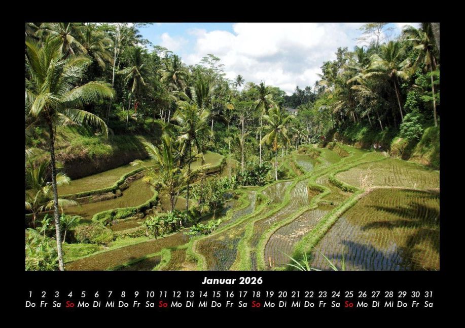 InsideView 5