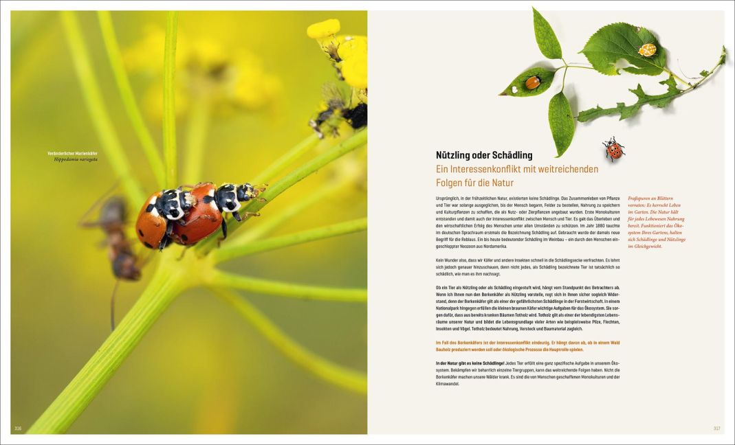 InsideView 15