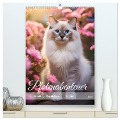 Pfotenabenteuer - Ragdolls in der Natur (hochwertiger Premium Wandkalender 2025 DIN A2 hoch), Kunstdruck in Hochglanz - Fotodesign Verena Scholze