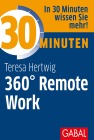  30 Minuten 360° Remote Work