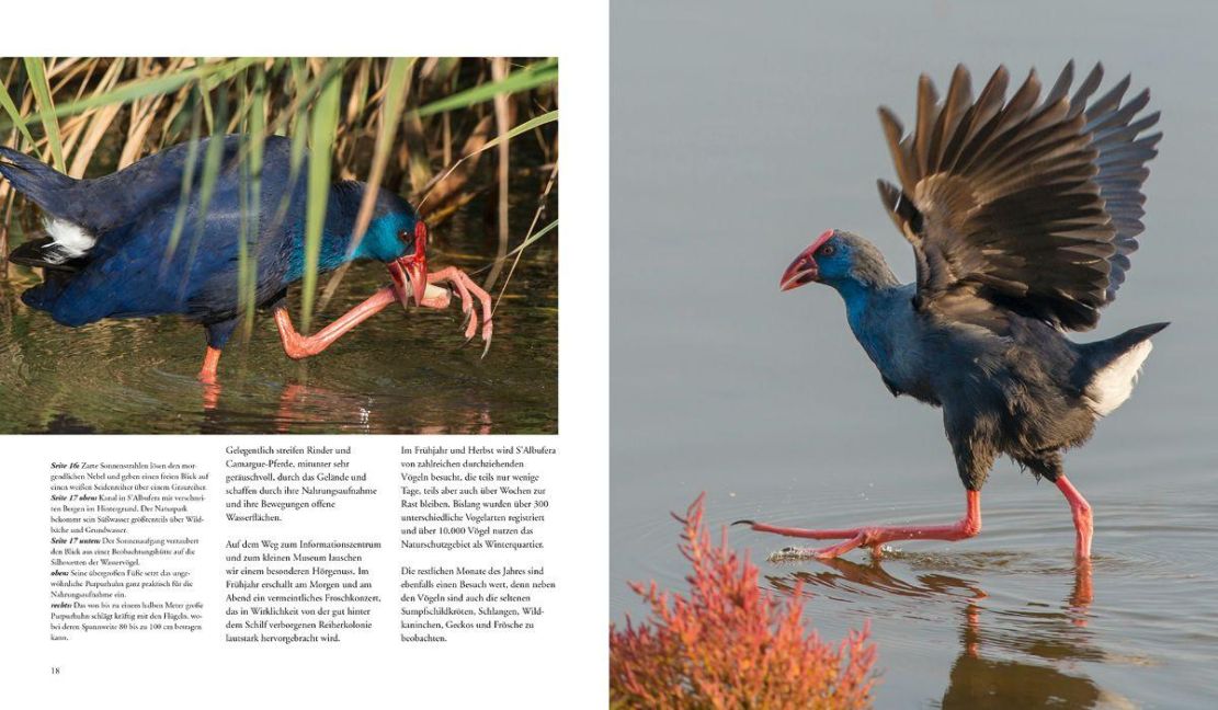 InsideView 14