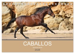 Cover-Bild zum Titel 'Caballos Spanische Pferde 2026 (Tischkalender 2026 DIN A5 quer), CALVENDO Monatskalender' von 'Petra Eckerl Tierfotografie'