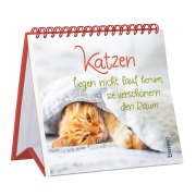Cover-Bild zum Titel 'Katzen liegen nicht faul herum, sie verschönern den Raum' von ''