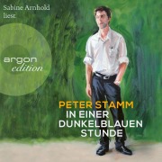 Cover-Bild zum Titel 'In einer dunkelblauen Stunde' von 'Peter Stamm'