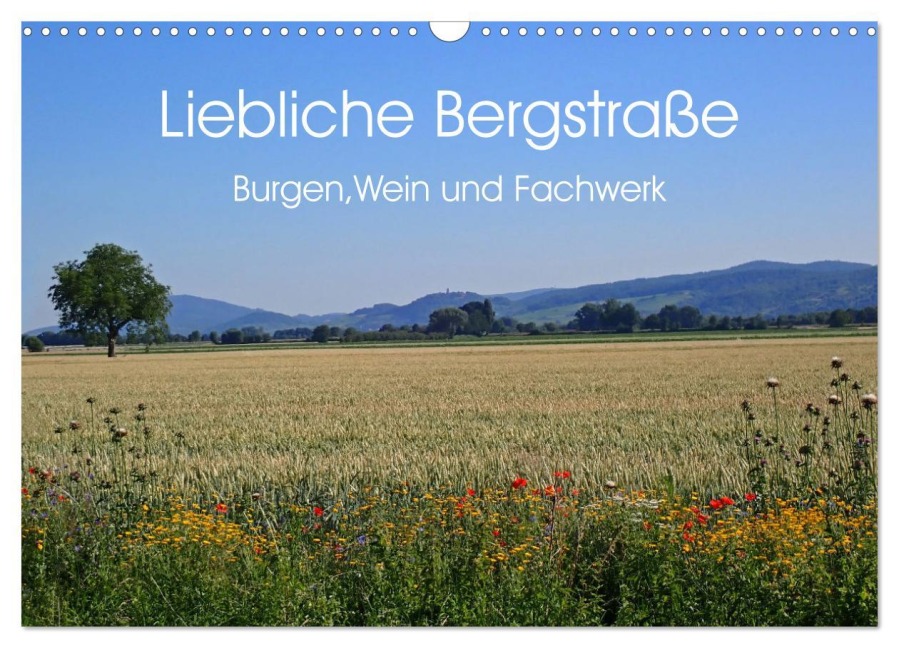 Liebliche Bergstraße - Burgen, Wein und Fachwerk (Wandkalender 2025 DIN A3 quer), CALVENDO Monatskalender - Ilona Andersen