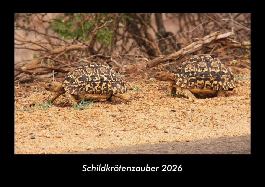 Schildkrötenzauber 2026 Fotokalender DIN A3 - Tobias Becker