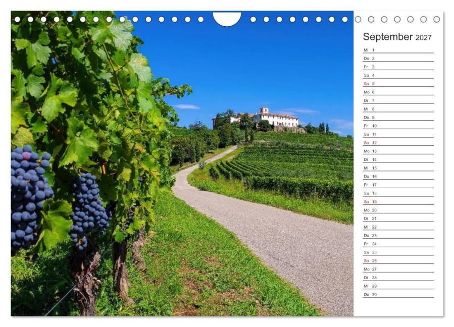 InsideView 14