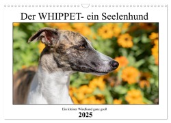 Der Whippet - ein Seelenhund (Wandkalender 2025 DIN A3 quer), CALVENDO Monatskalender - Petra Hofmann