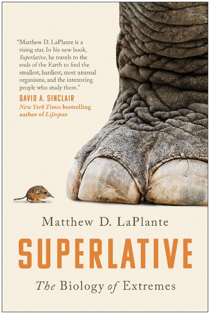 Superlative - Matthew D. Laplante