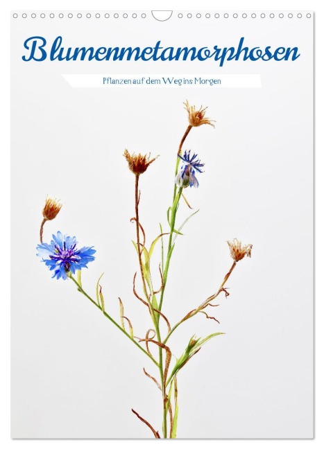 Blumenmetamorphosen (Wandkalender 2026 DIN A3 hoch), CALVENDO Monatskalender - Clemens Stenner