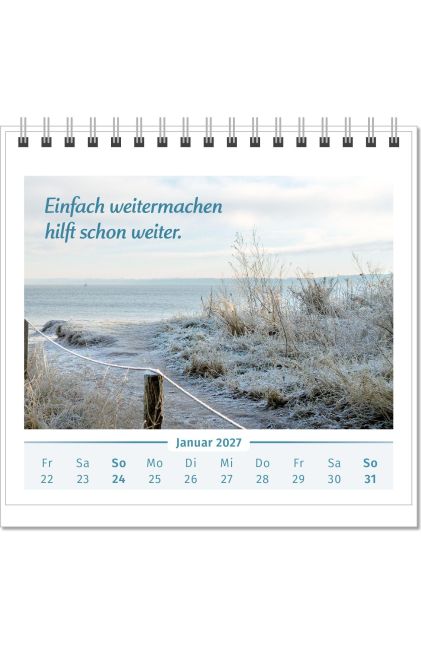 InsideView 1