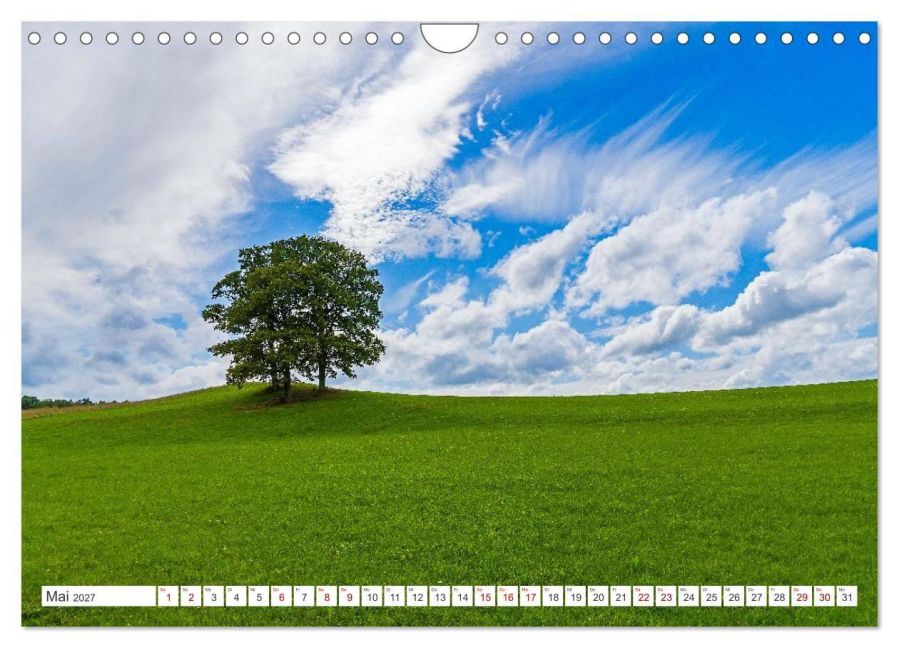 InsideView 10