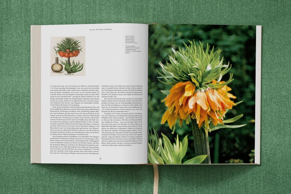 InsideView 21