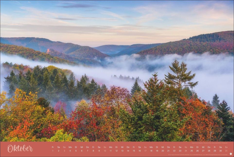 InsideView 10